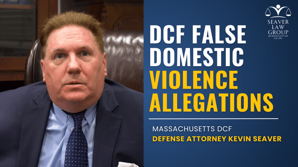 DCF false domestic violence allegations 5